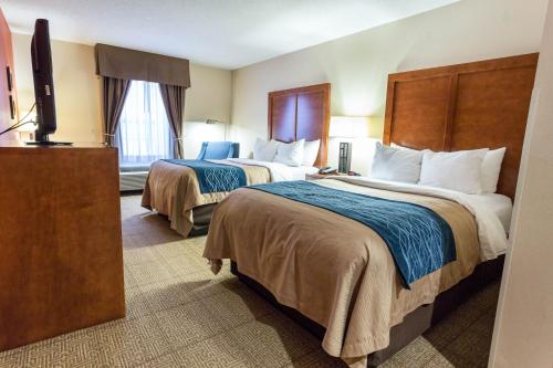 Comfort Inn Civic Center - image 3