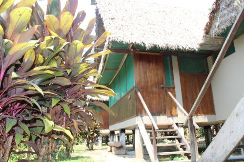 Jardín, Paradise Amazon Tambopata Ecolodge in Puerto Maldonado