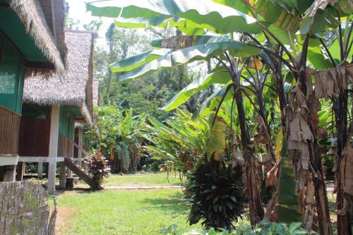 Jardín, Paradise Amazon Tambopata Ecolodge in Puerto Maldonado