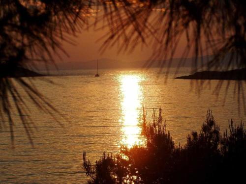 Guesthouse Pomena - image 8