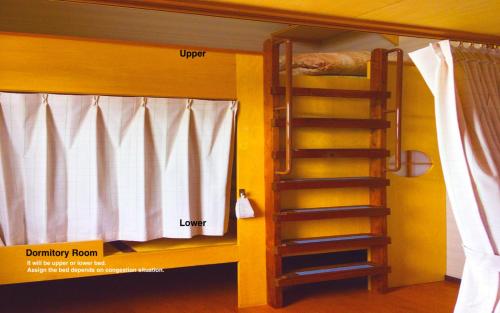 Bunk Bed in Female Dormitory Room (4 Adults)