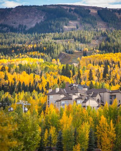 Snowmass Village Condominiums - Apartment - Aspen