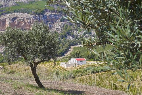 Villa Bonifato vista sulle campagne e sul mare siciliano alloggio per uso turistico