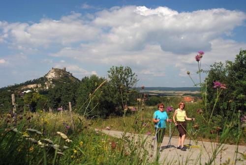 Weinbauernhof Vier Jahreszeiten - main image