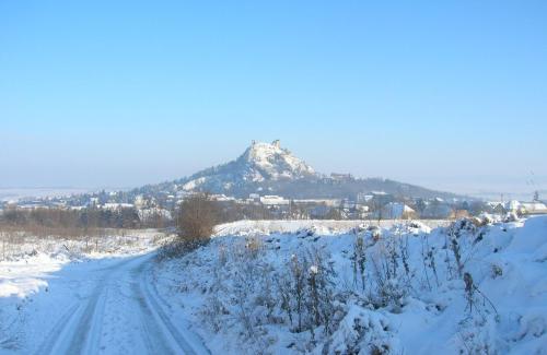 Weinbauernhof Vier Jahreszeiten - image 9