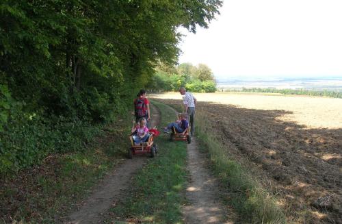 Weinbauernhof Vier Jahreszeiten - image 3