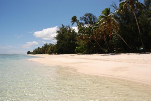 Photo - The Black Pearl Beachside Apartments