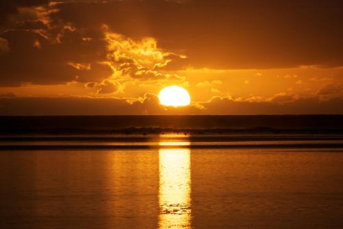 plaža, The Black Pearl Beachside Apartments in Rarotonga