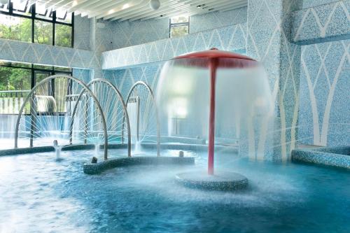 中天溫泉渡假飯店 中天溫泉渡假飯店