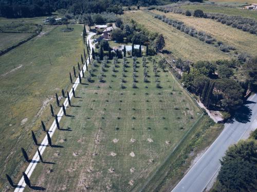 Agriturismo Locanda Pantanello - image 10