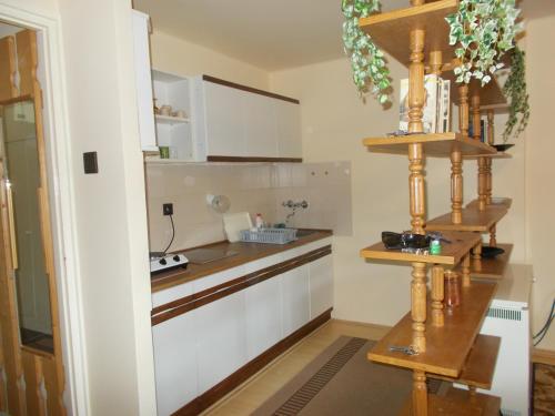  DUDI Apartman Harkány (Járó József u. 2/2. C/4.épület), Unterkunft in Harkány