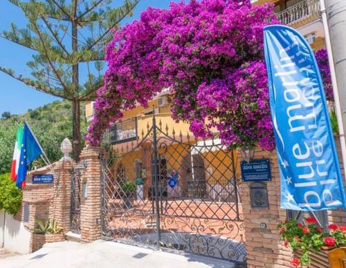 Blue Marlin - Accommodation - Marina di Camerota