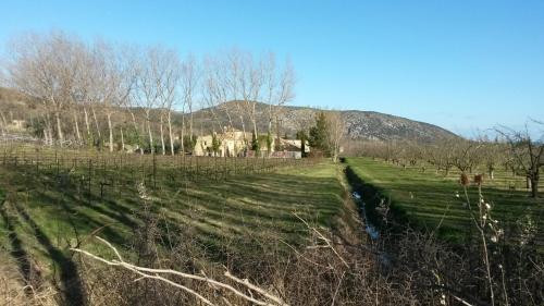 Gîte Aux Tournesols