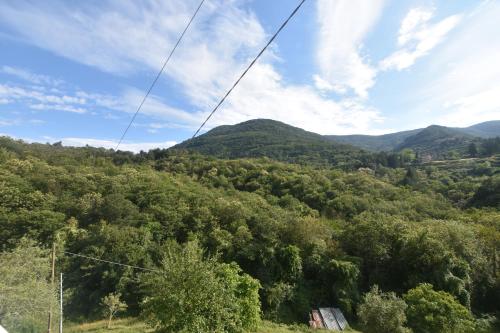 Agriturismo Locanda del Papa