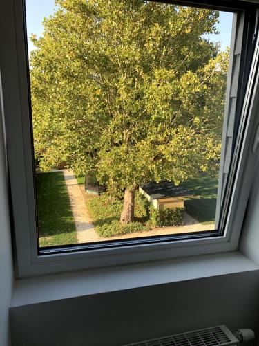 Casa Akuta Airport Flat in คอร์เทนแบร์ก