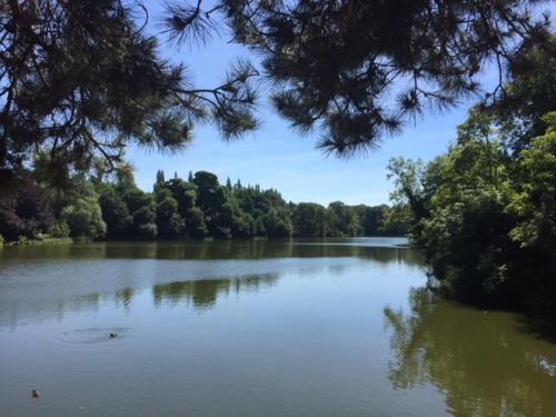 สภาพแวดล้อมโดยรอบ, Lymm Boutique Rooms in ลัม