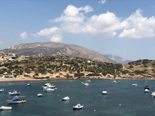 아나비소스 Seaview 2nd flr. apt. next to the beach, wifi,a/c,p/c media. 4성급 싱글룸 레스토랑