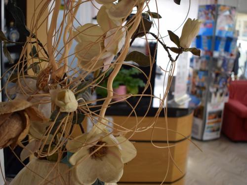 Hotel Bamby - image 4