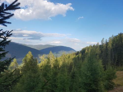 Neuwirth Hütte - image 10
