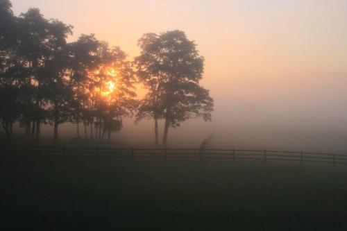 letchworth farm