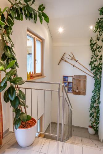 Gästehaus Hausberger - image 3