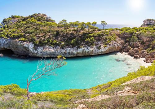 Marblau Mallorca - image 3