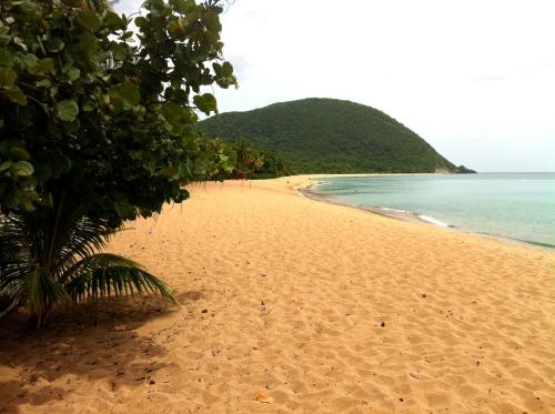 Hotel - Résidence Habitation Grande Anse