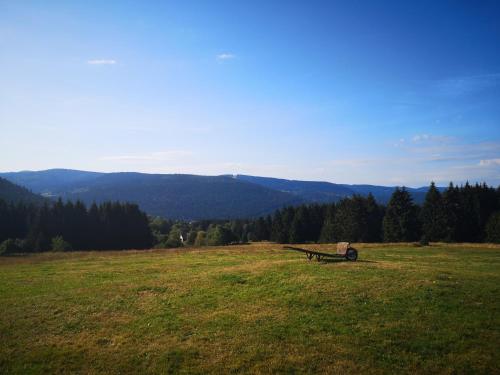 La Ferme Du Levant - Location saisonnière - Gérardmer