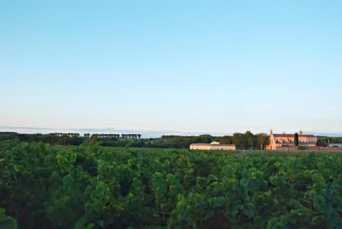 Chartreuse de Mougeres - Pézenas