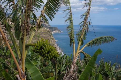  House Teixeira in Ponta do Sol