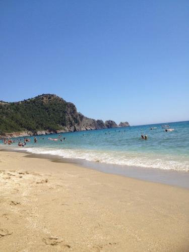 Palmiye Park Apart Hotel - image 6