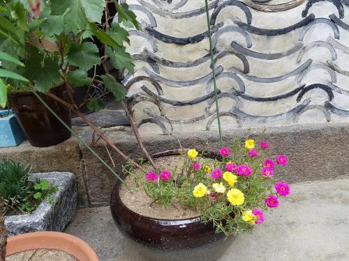 Dajayon Hanok Stay, Soul (fotografie 7)