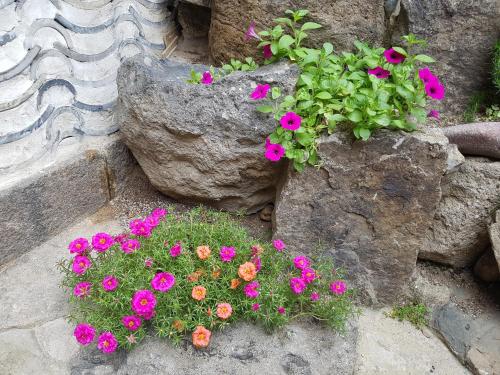 Dajayon Hanok Stay, Soul (fotografie 5)