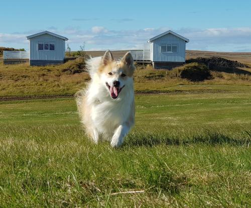 Beindalsholt in Hella