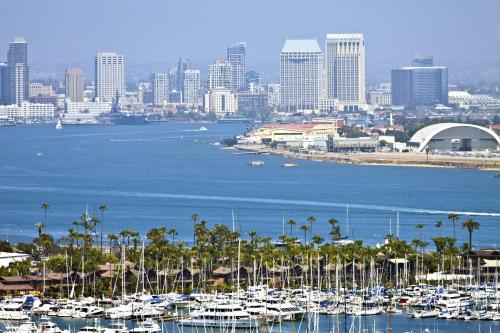 Open And Sunny In San Diego Home - image 7