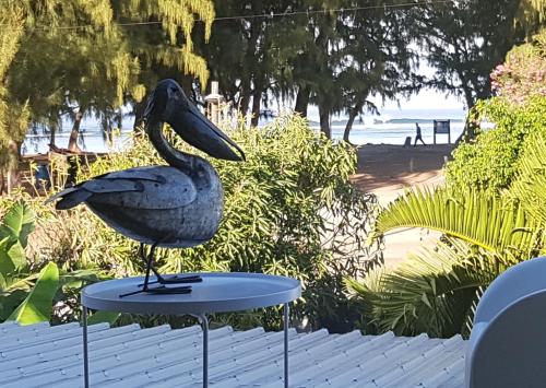 Le Pelican 1