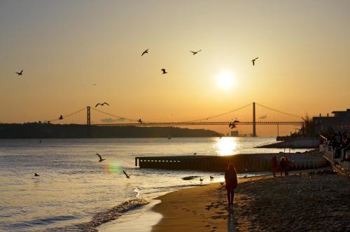 Famous Crows Lisbon Suites - image 5