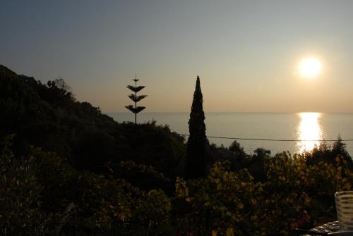 Hotel Villa Belvedere - image 14