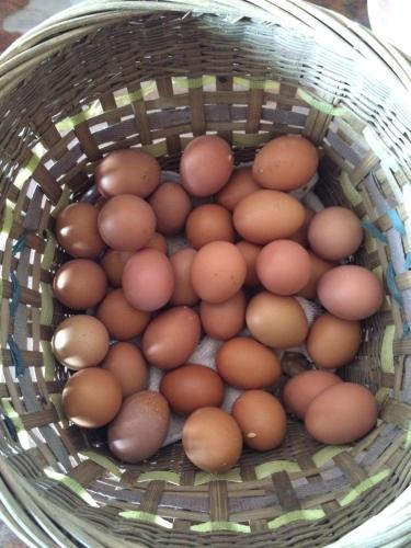 Food and beverages, Hakka Inherited Host in Hengshan Township