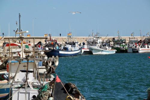 Vinaros junto al mar