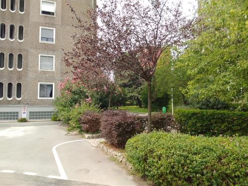 Kibilù - Via Borsa - image 7