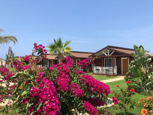 Family Bungalow