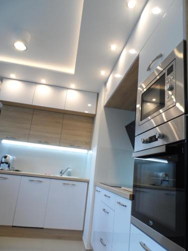 Apartament Dmowskiego - Kępa Mieszczańska, Wrocław (zdjęcie 11)