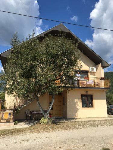 Zvezdica in Bajina Basta