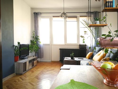 Sunny Downtown Apartment for 4, Sofia (photo 10)