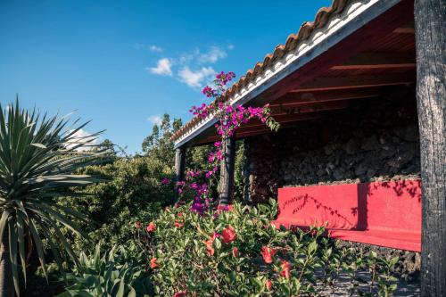 Atlantic Heritage Luxury Villa - image 7
