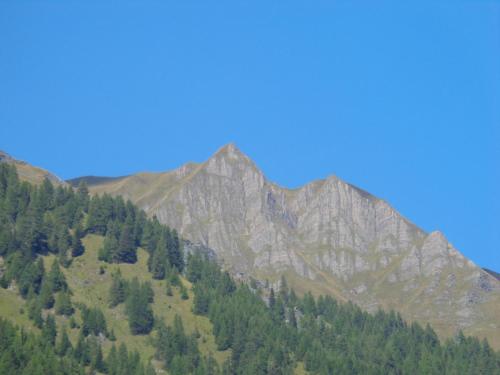 Ferienwohnung Bergblick