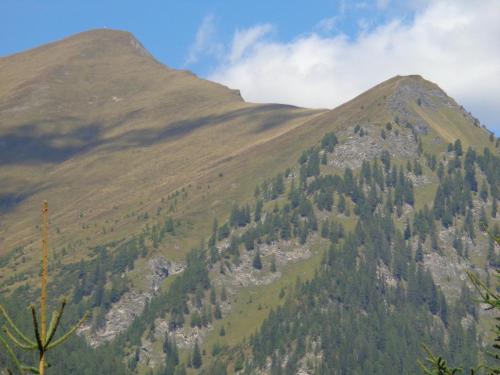 Ferienwohnung Bergblick