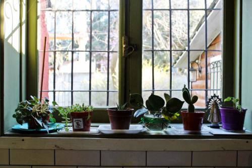 Alhue Patagonia Hostel in San Martin De Los Andes