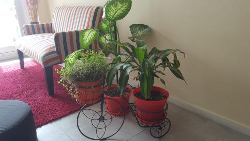 Apartamento Palermo Soho Tango & WiFi, Buenos Aires (photo 10)